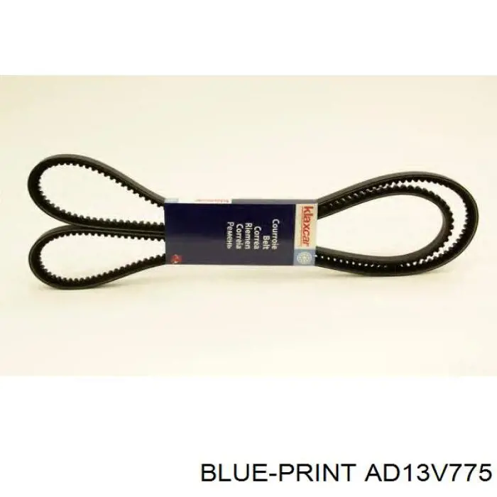 AD13V775 Blue Print Correa poly v