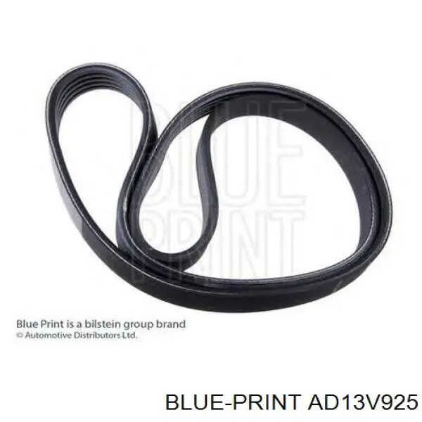 Correa de alternador 119200F000 Nissan/Infiniti