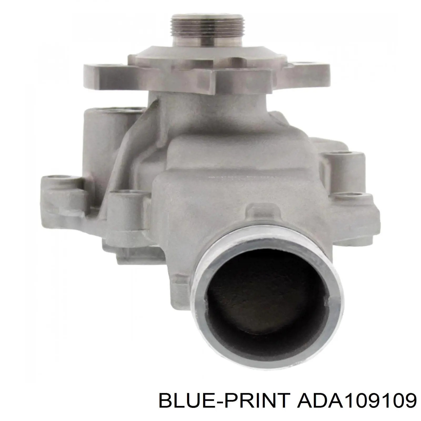 ADA109109 Blue Print bomba de agua