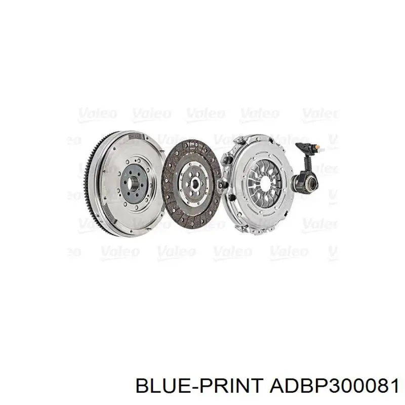 ADBP300081 Blue Print