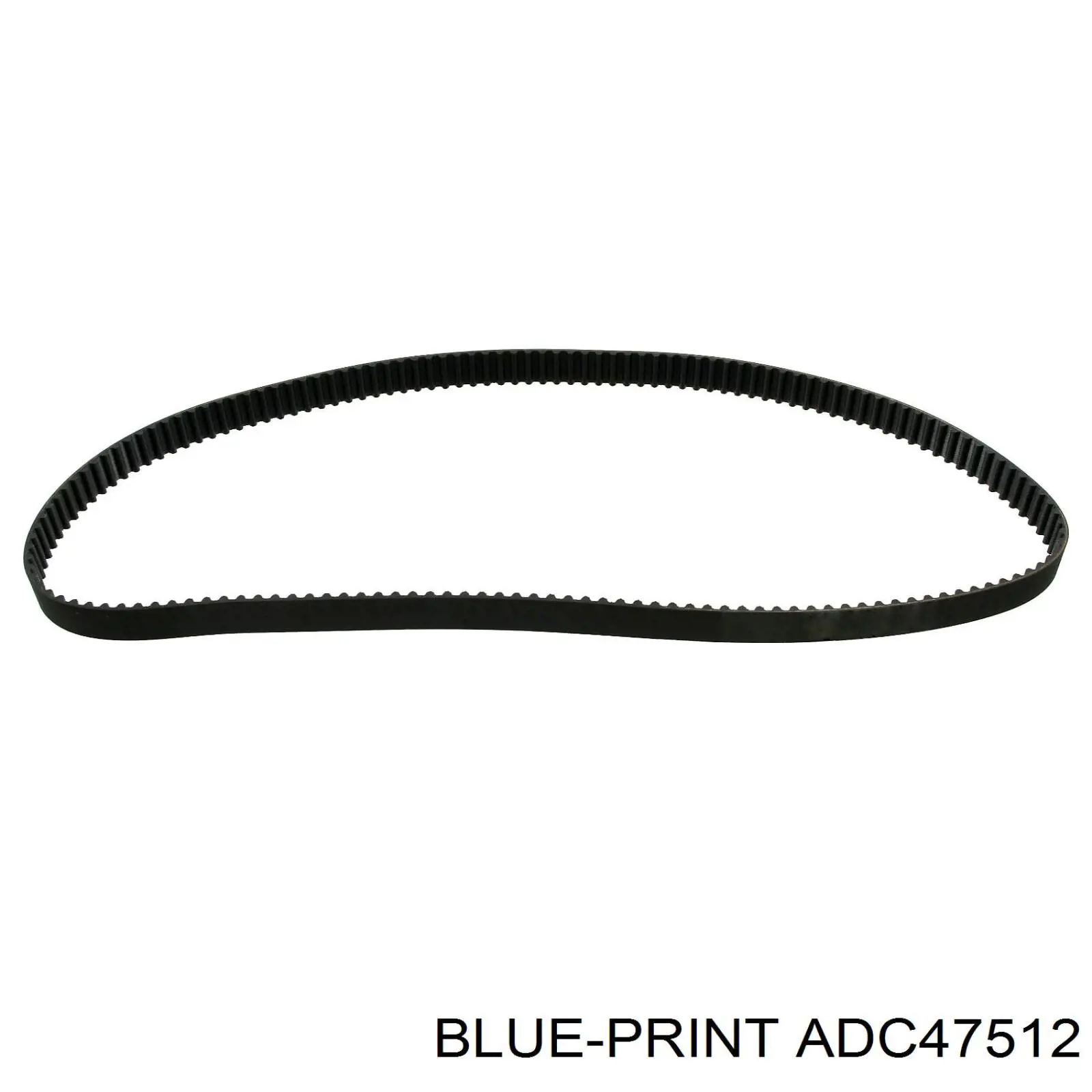 ADC47512 Blue Print correa distribucion