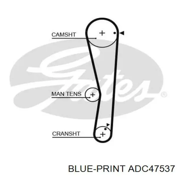 X1145A051 Mitsubishi Correa dentada