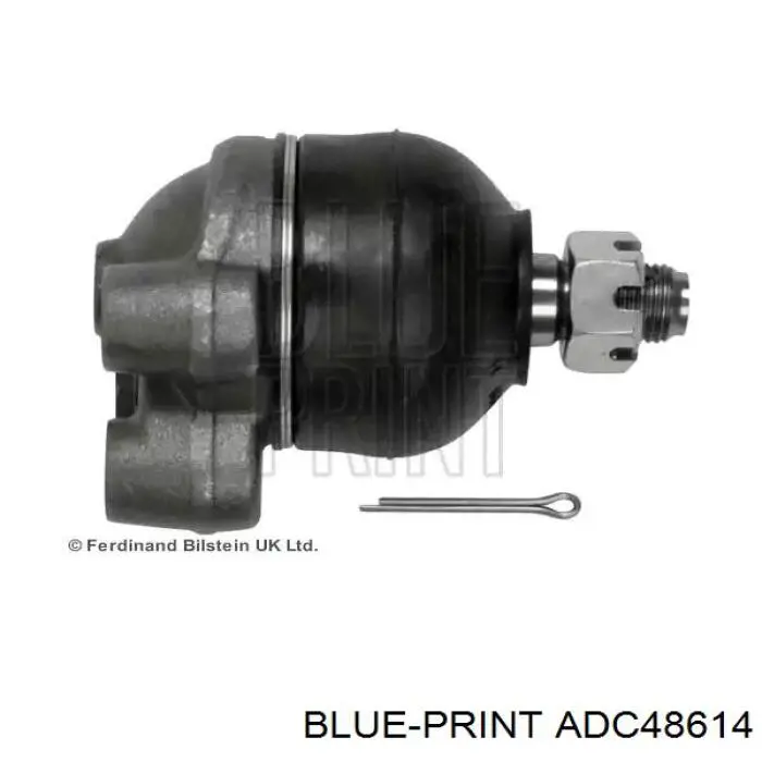 Rótula de suspensión superior Blue Print ADC48614 precio, desde 19,68 EUR