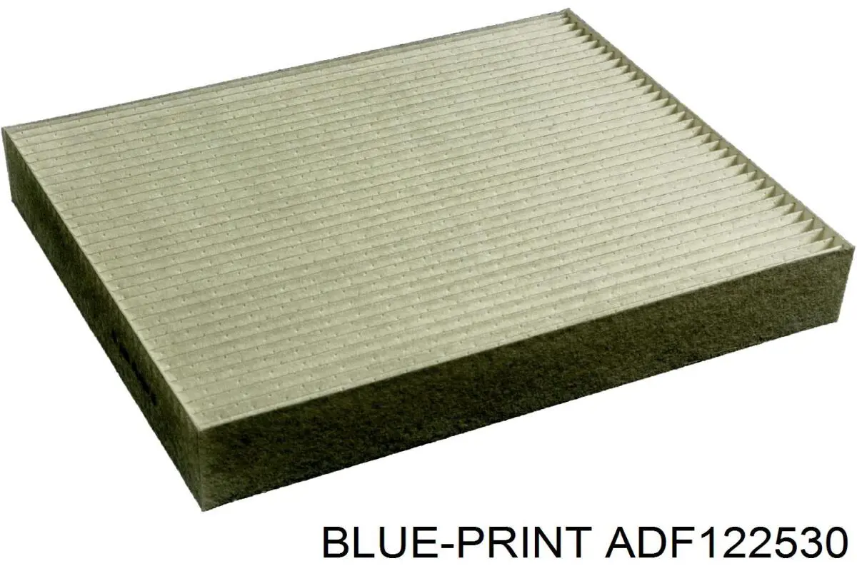 ADF122530 Blue Print Filtro antipolen