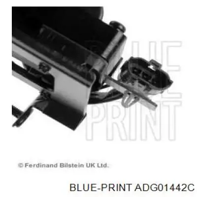 ADG01442C Blue Print bobina