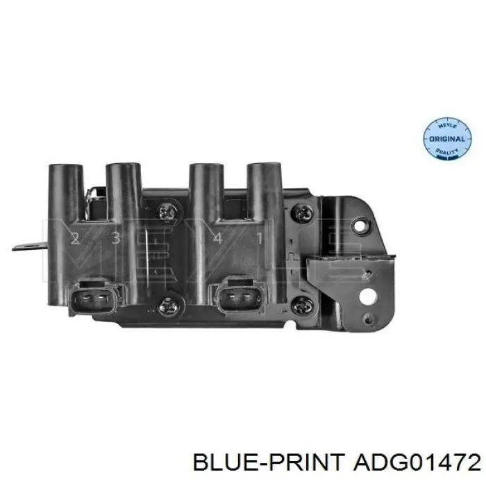 ADG01472 Blue Print bobina