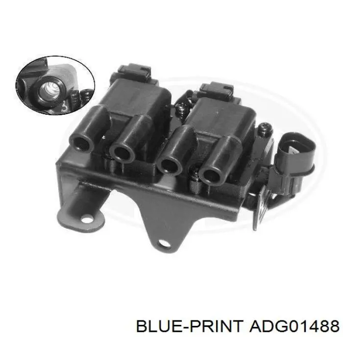 ADG01488 Blue Print bobina