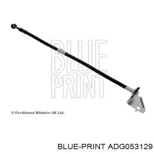 ADG053129 Blue Print Tubo flexible de frenos delantero derecho