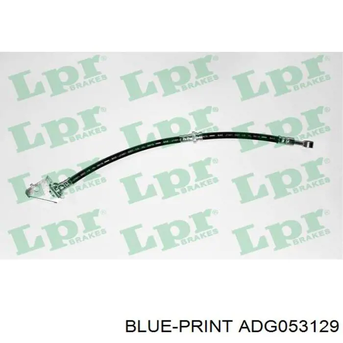 Manguera de freno delantera derecha Blue Print ADG053129 precio, desde 20,18 EUR
