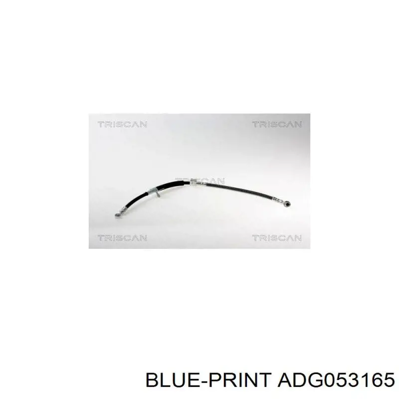 ADG053165 Blue Print latiguillos de freno delantero izquierdo