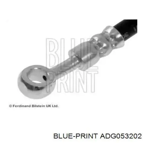 ADG053202 Blue Print latiguillos de freno delantero derecho