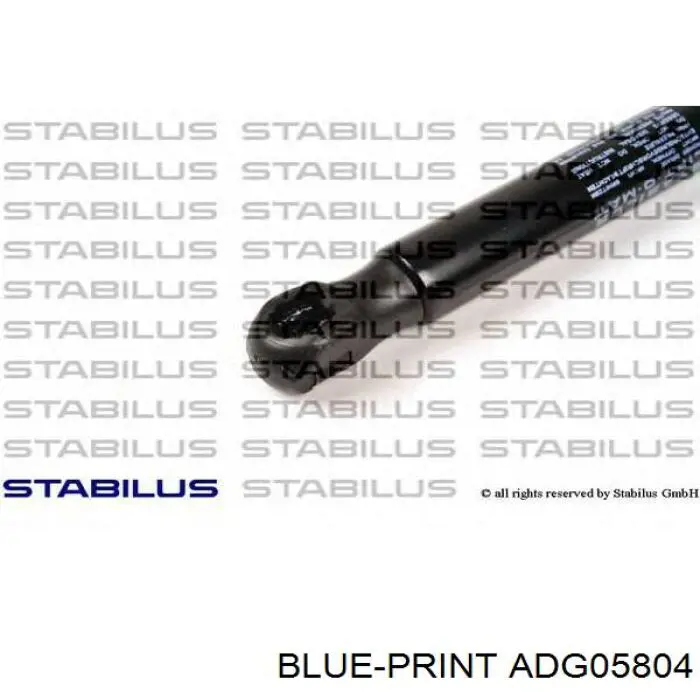 Amortiguador maletero ADG05804 Blue Print