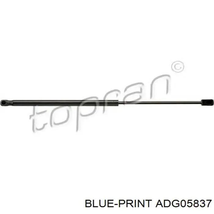 Amortiguador de maletero Hyundai/Kia 817801H310 precio, desde 13,22 EUR