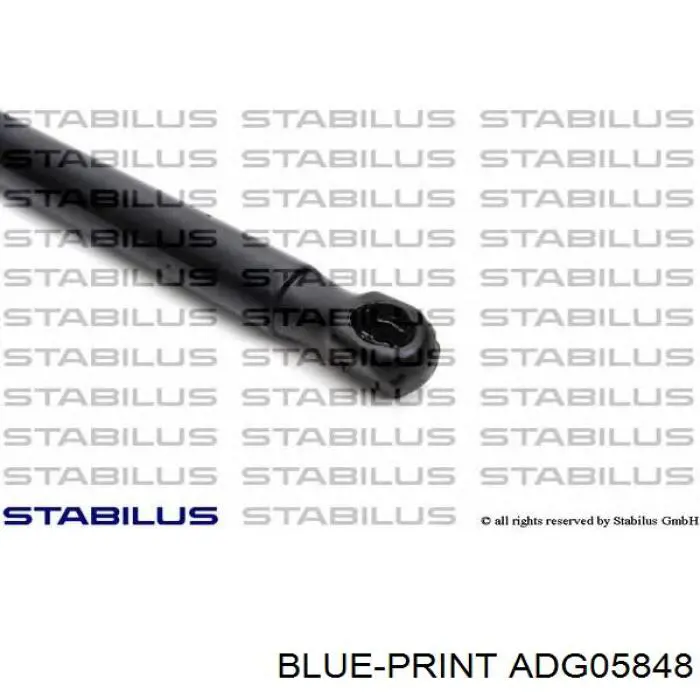 ADG05848 Blue Print amortiguador para porton trasero (3/5 puertas traseras (lisas)