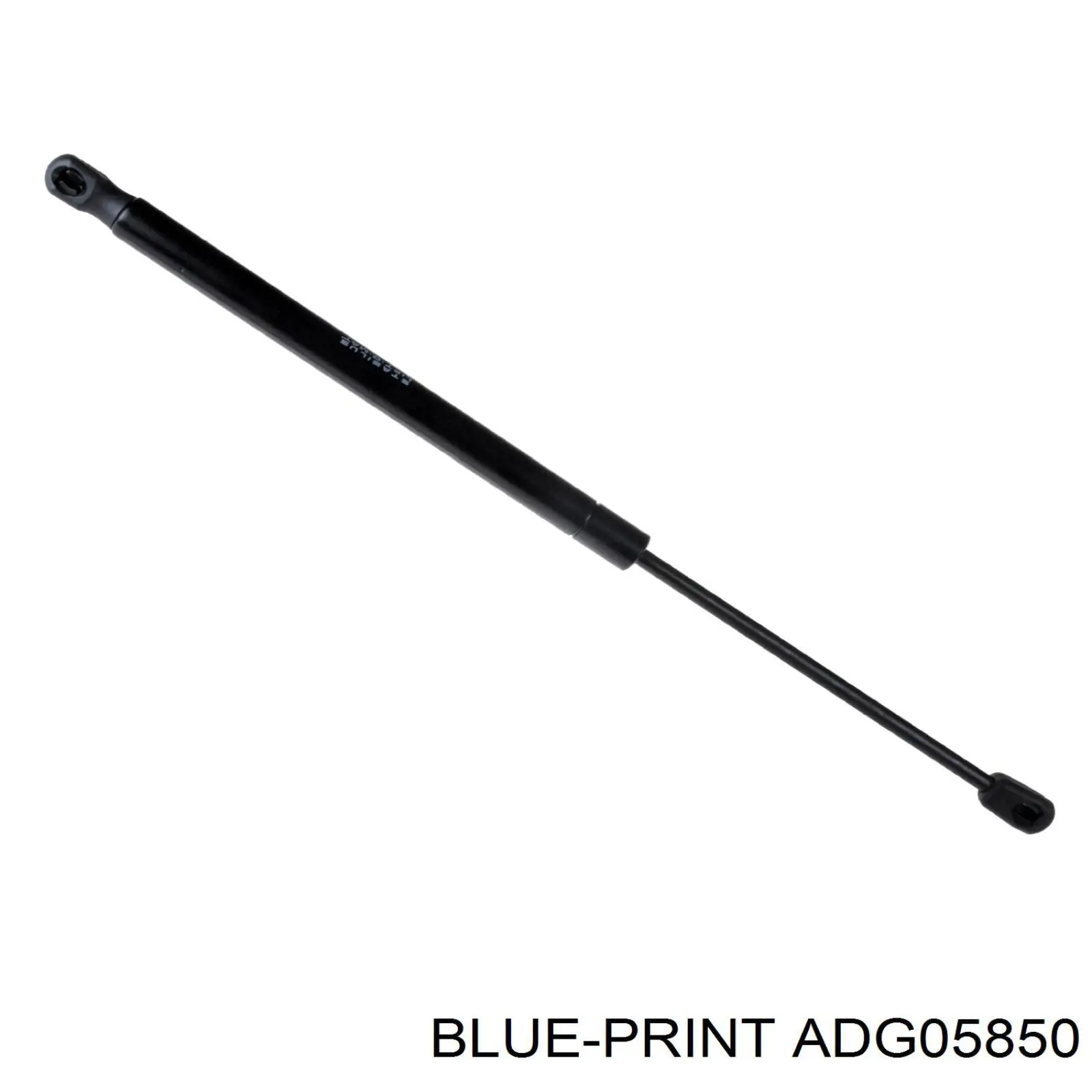 ADG05850 Blue Print amortiguador maletero
