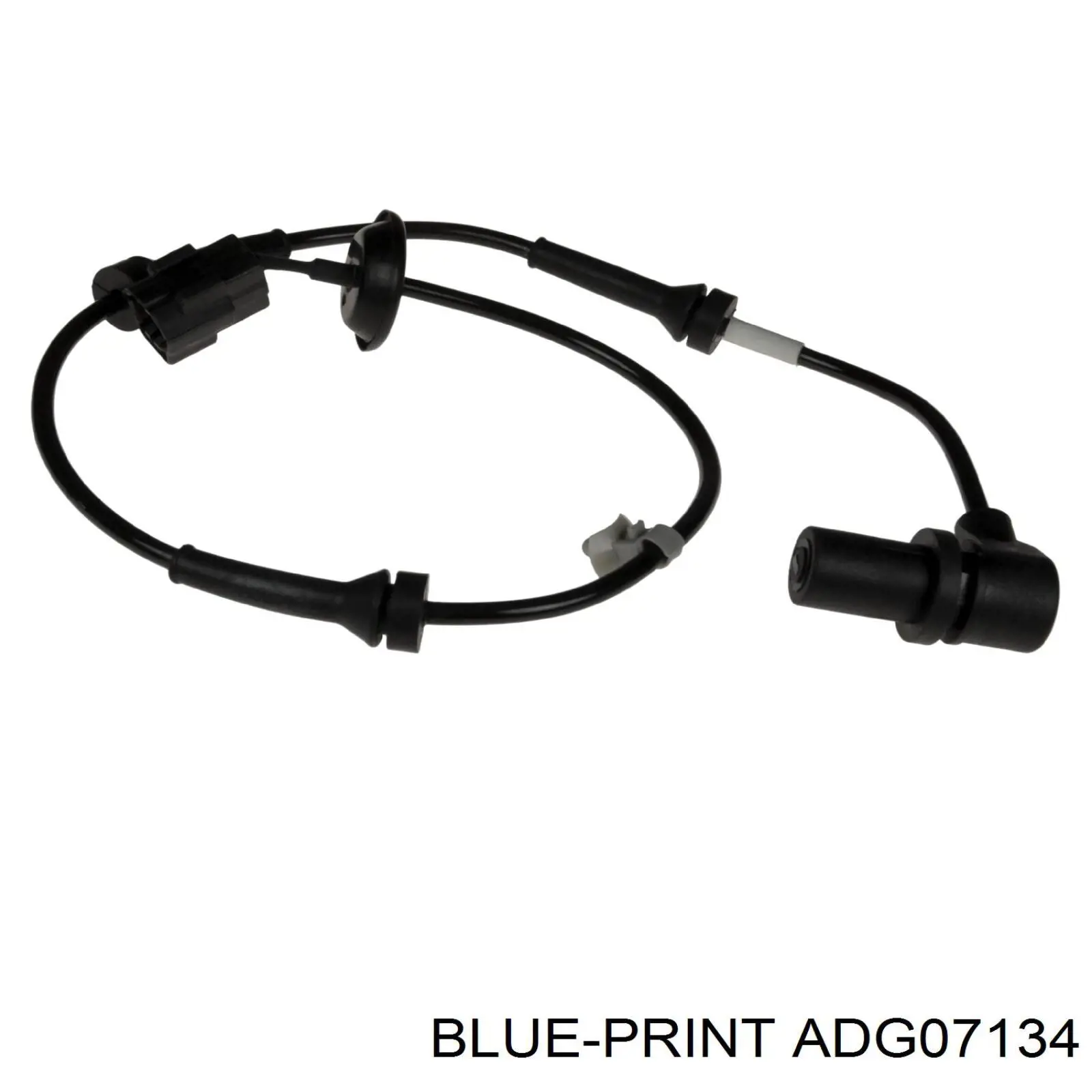 ADG07134 Blue Print sensor abs delantero derecho