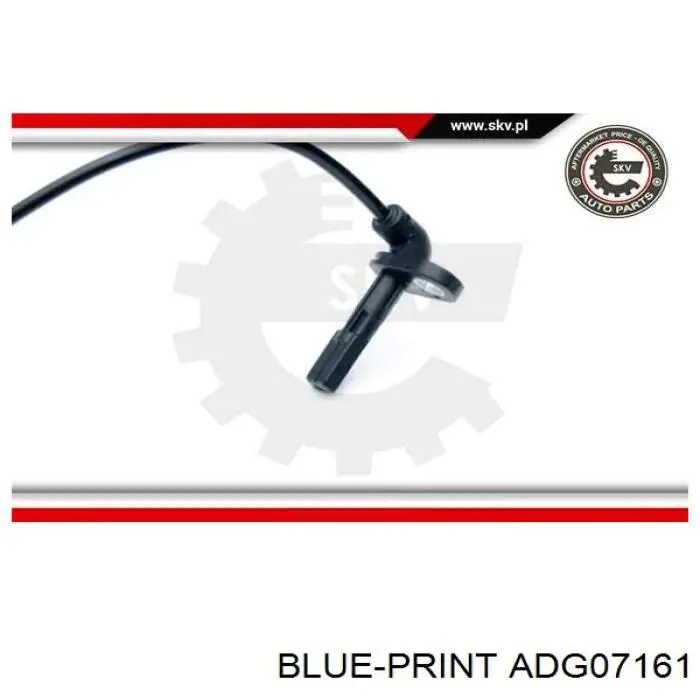 Sensor ABS ADG07161 Blue Print