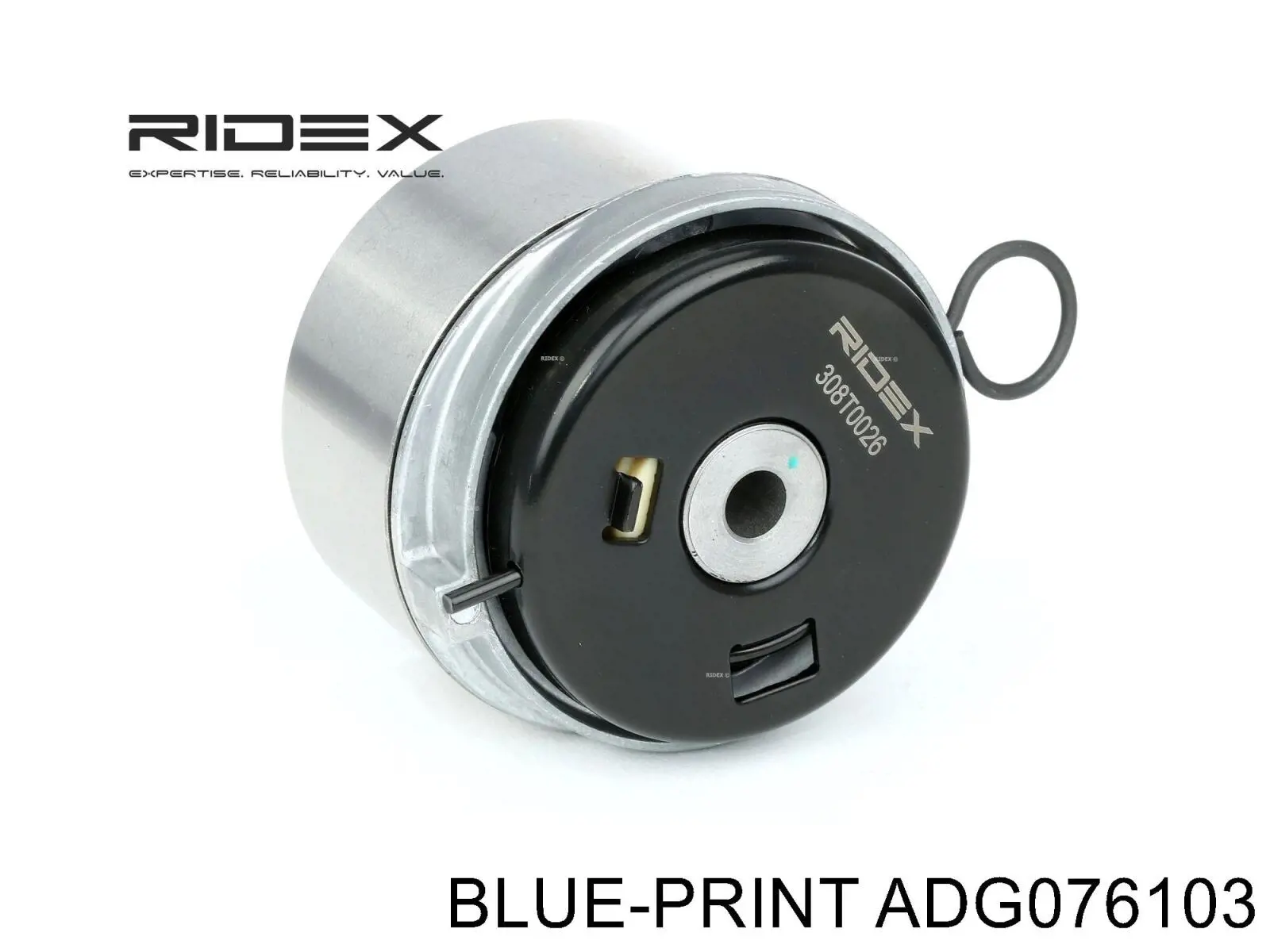 Tensor de la correa de distribución Kavo Parts DTE1009 precio, desde 43,56 EUR