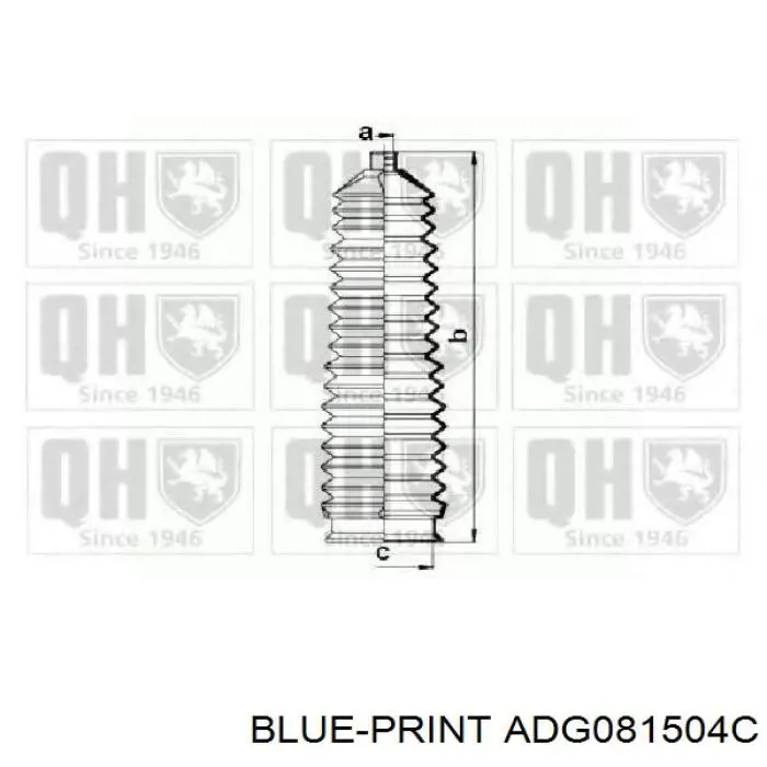 Fuelle dirección ADG081504C Blue Print