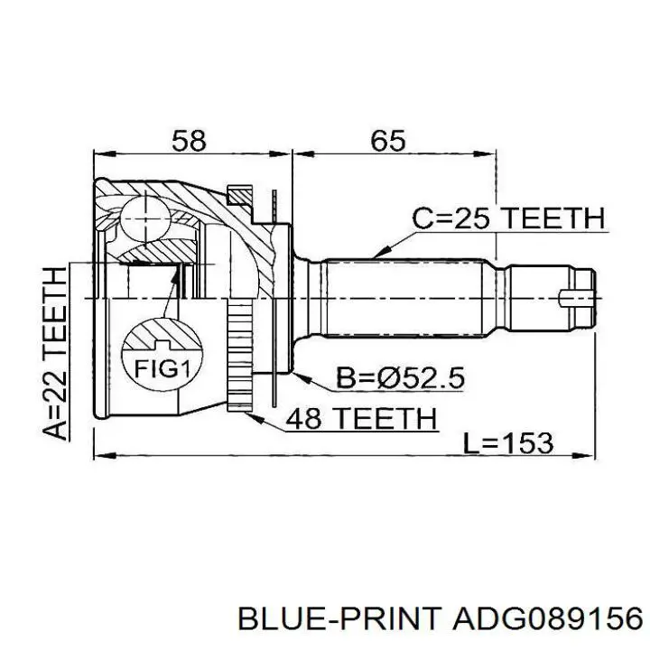 ADG089156 Blue Print junta homocinética exterior delantera