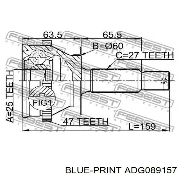 ADG089157 Blue Print junta homocinética exterior delantera