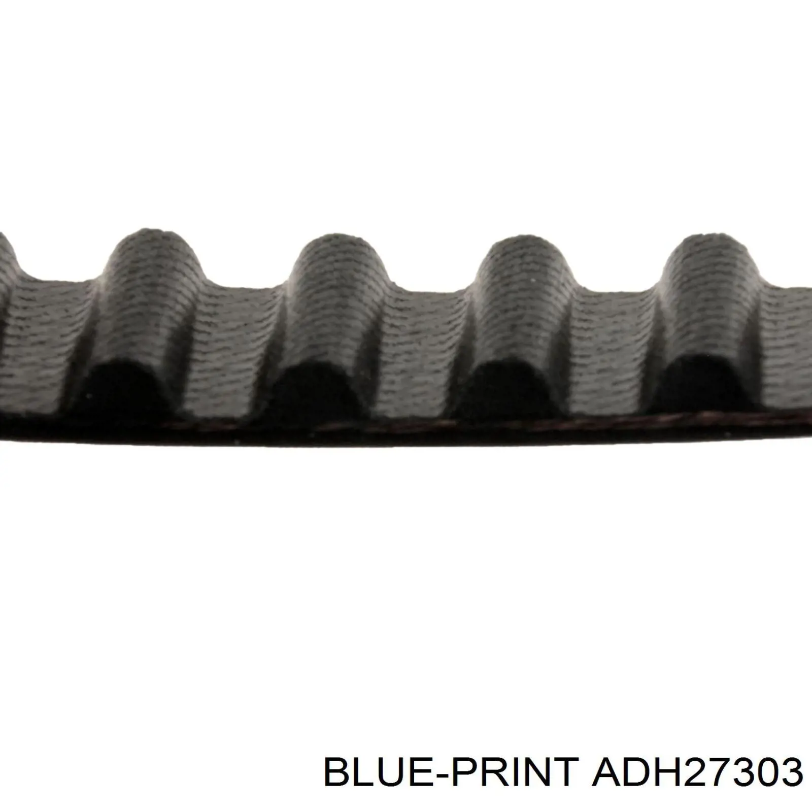 Juego de correas dentadas Continental/Siemens CT800K1 precio, desde 36,11 EUR