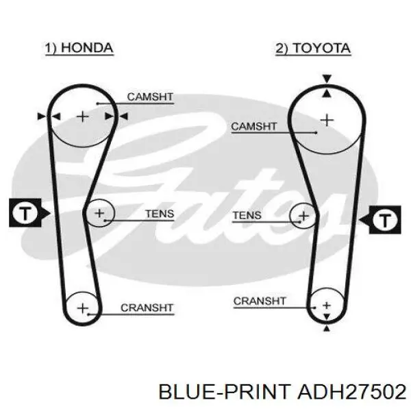 ADH27502 Blue Print correa distribucion