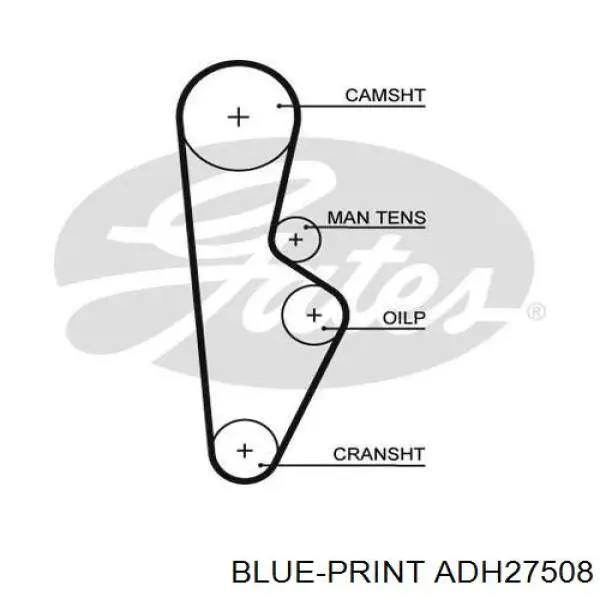 Correa de distribución Blue Print ADH27508