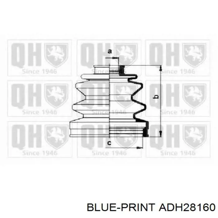 Comprar ADH28160 Blue Print Fuelle de palier delantero exterior