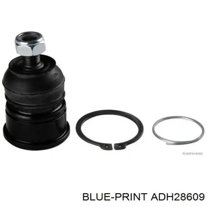 Comprar 51215S1AE00 Honda Rótula inferior de suspensión