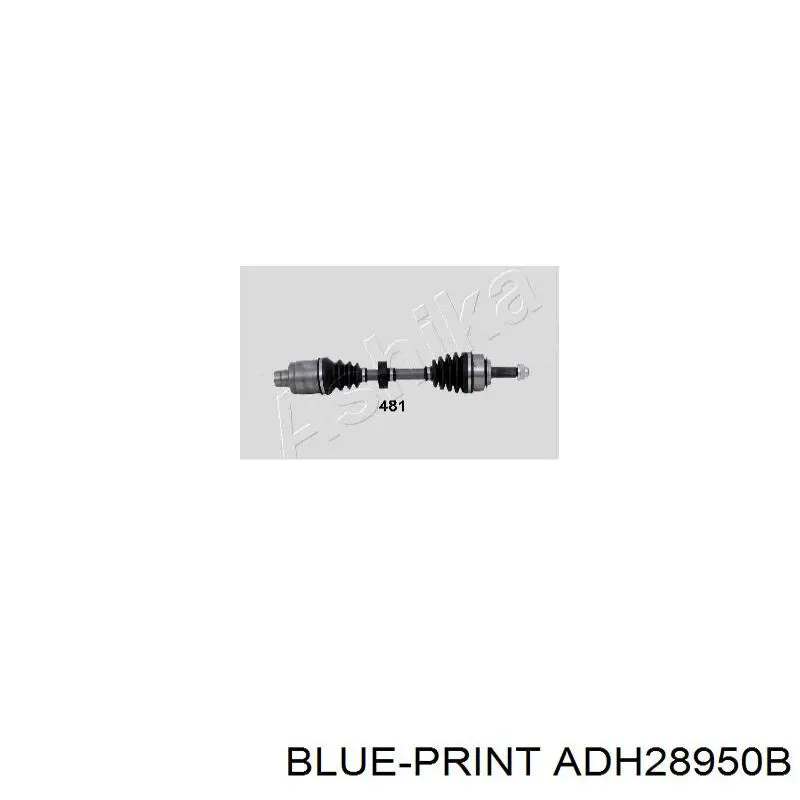 ADH28950B Blue Print junta homocinética exterior delantera