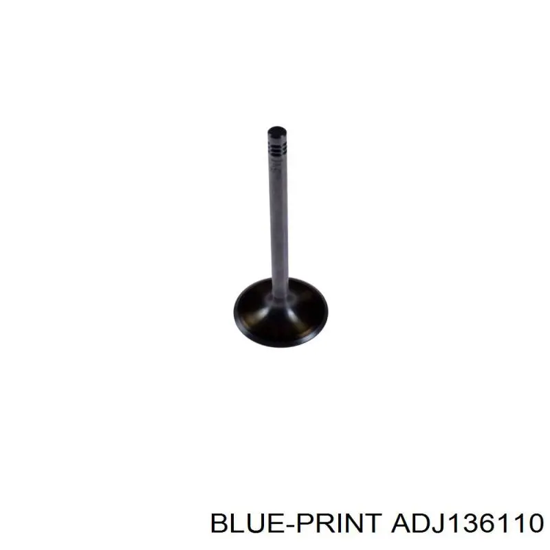 ADJ136110 Blue Print válvula de admisión