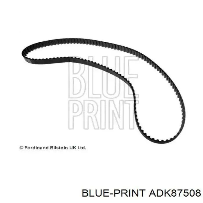 Correa distribución ADK87508 Blue Print