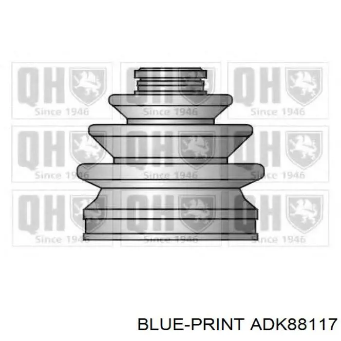 ADK88117 Blue Print