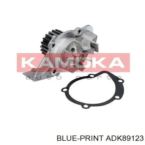 Bomba de agua Peugeot 406 8B