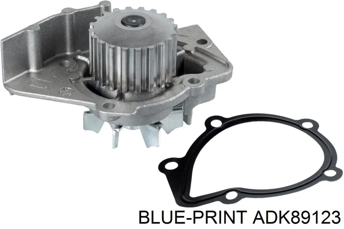 Bomba de agua Peugeot 406 8B