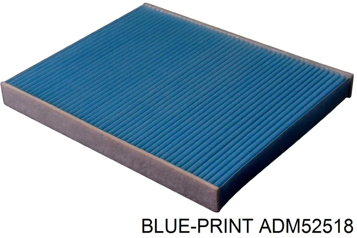FP69 Ford Filtro antipolen