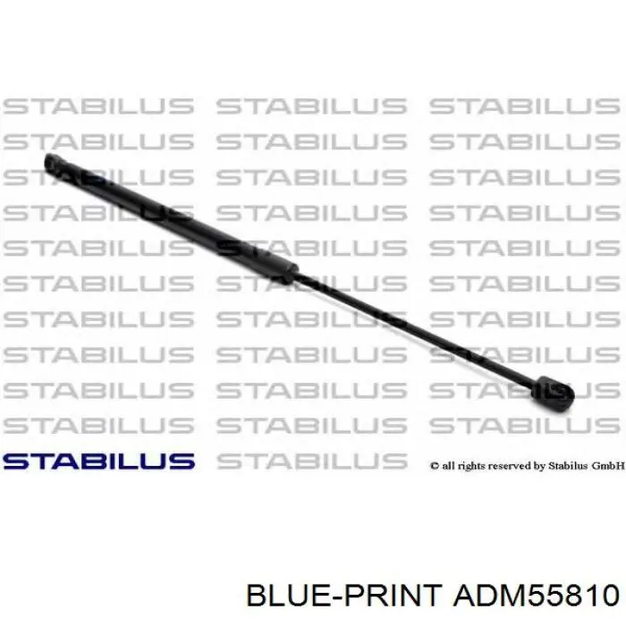 ADM55810 Blue Print amortiguador de maletero