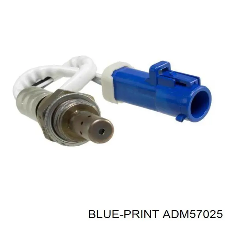 Sonda lambda de oxígeno posterior al catalizador Ford 258006599 precio, desde 54,03 EUR