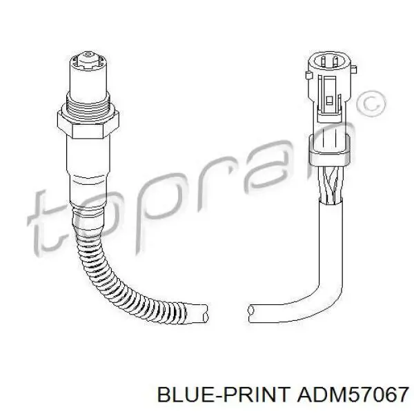 ADM57067 Blue Print sonda lambda sensor de oxigeno post catalizador