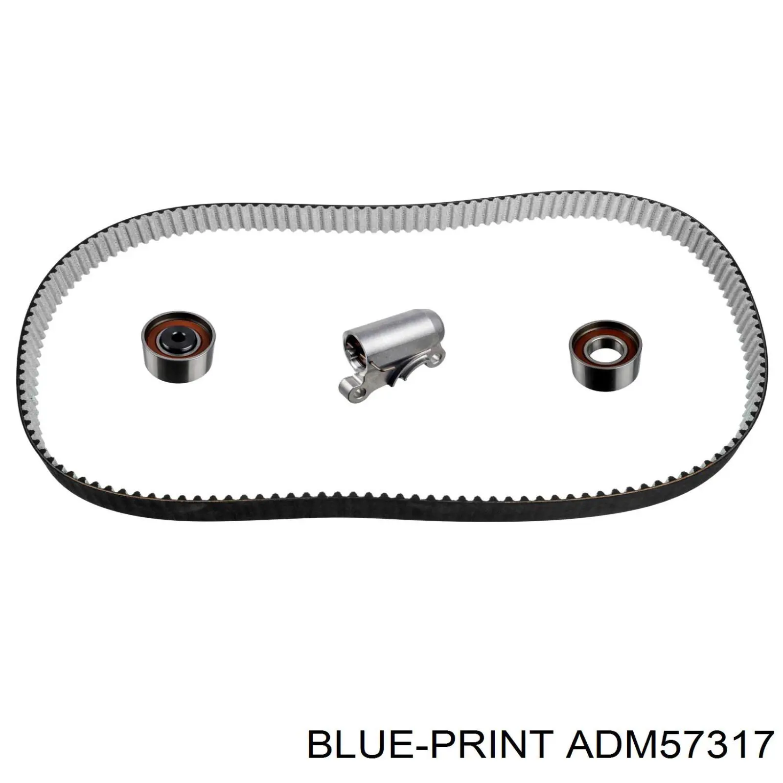 M116A09 NPS kit correa de distribución