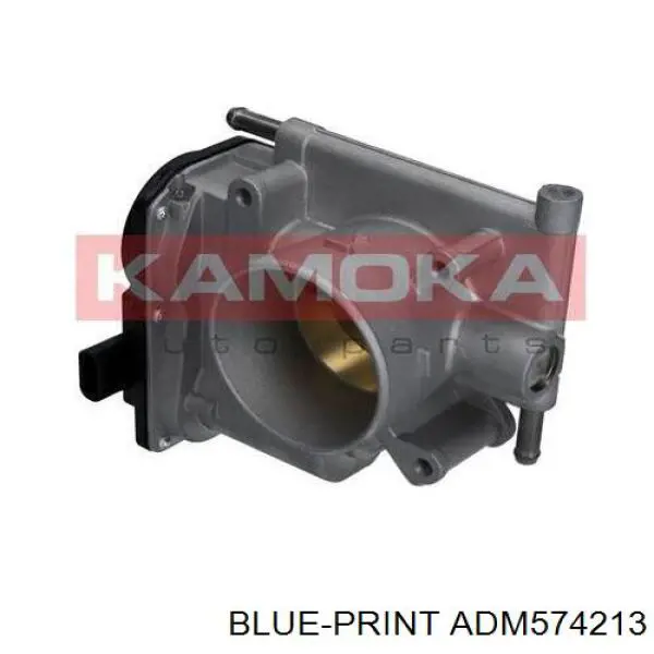 Caja de mariposa Kamoka 112033