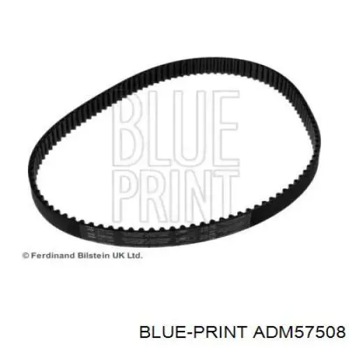 ADM57508 Blue Print correa distribución