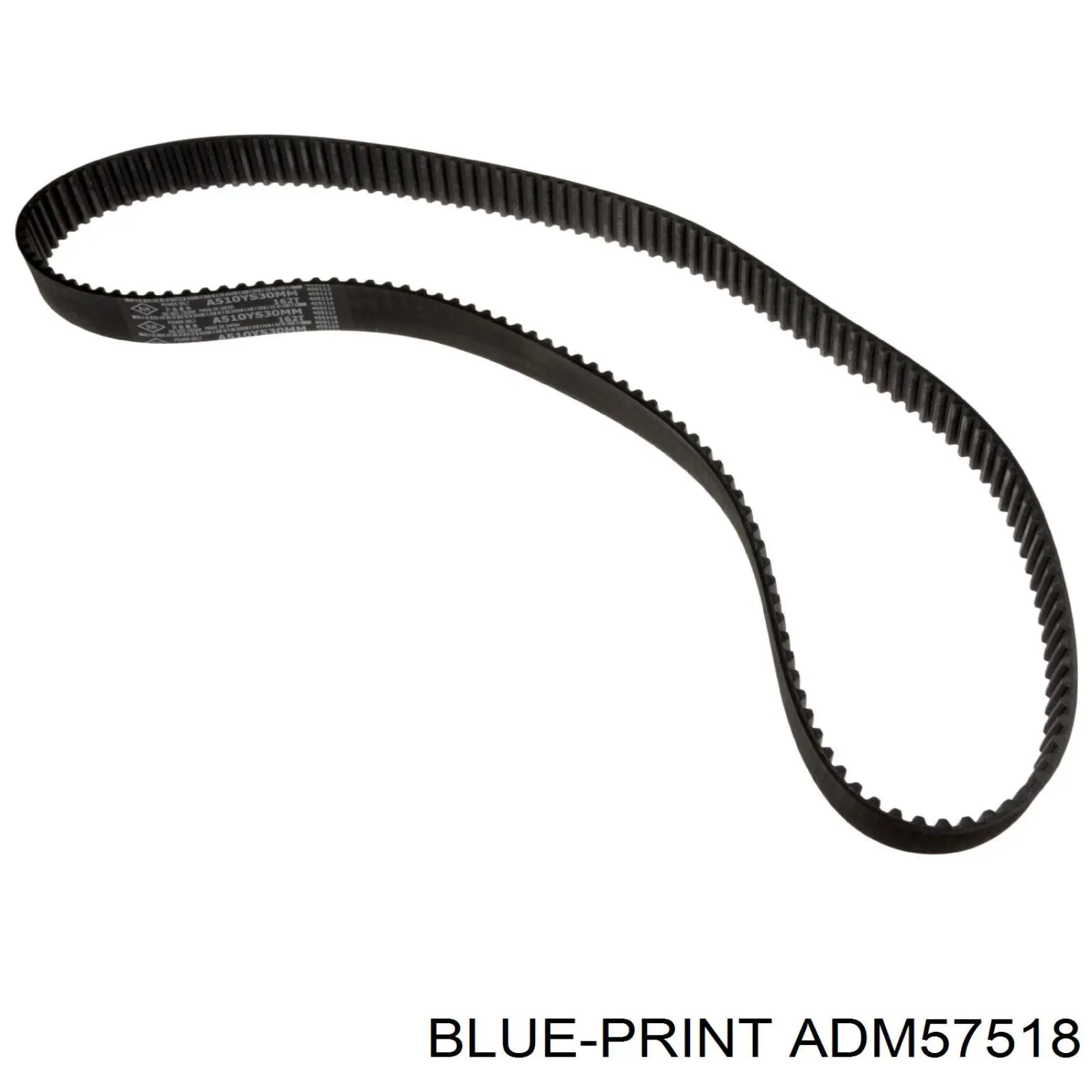 ADM57518 Blue Print correa distribucion