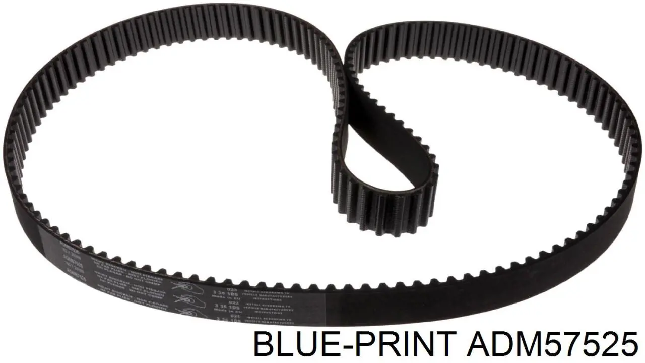 ADM57525 Blue Print correa distribución