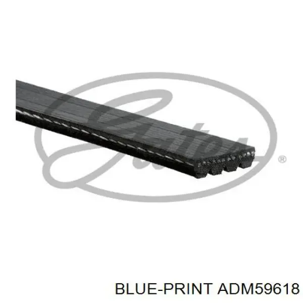 ADM59618 Blue Print correa trapezoidal