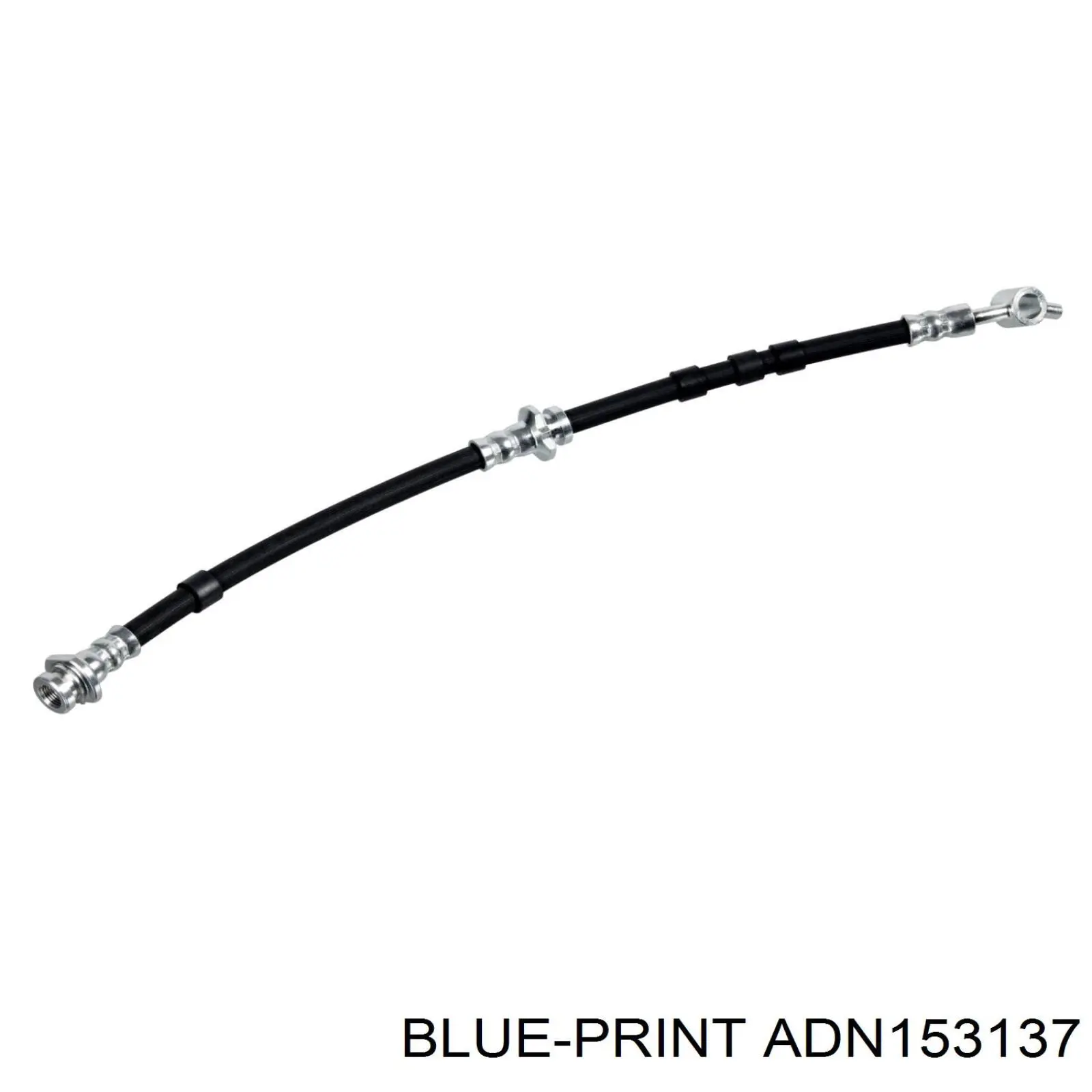 ADN153137 Blue Print latiguillos de freno delantero izquierdo