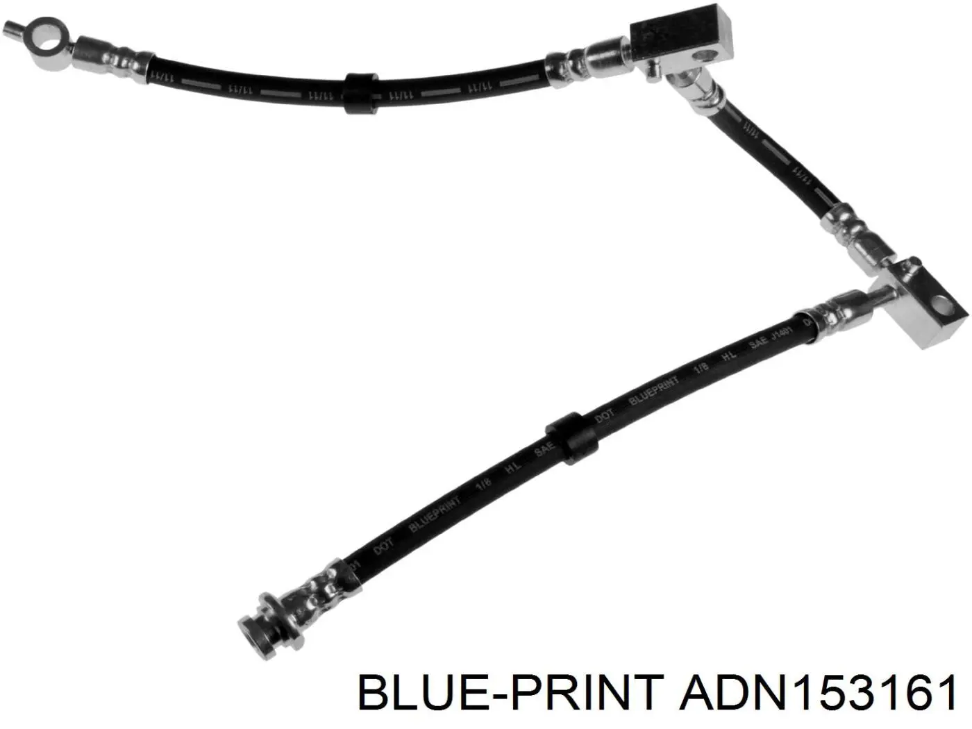 ADN153161 Blue Print latiguillos de freno delantero derecho