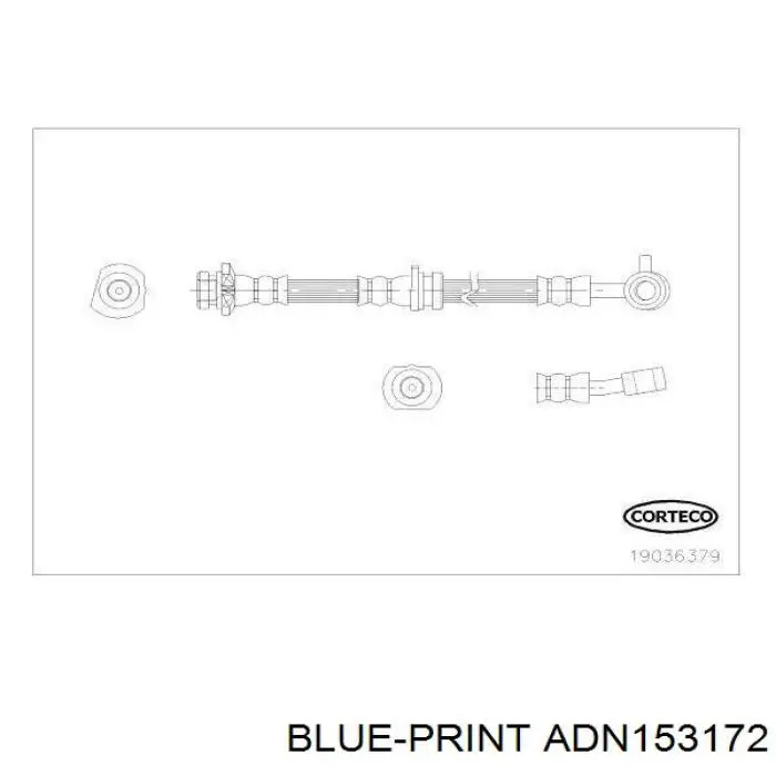 ADN153172 Blue Print latiguillos de freno delantero derecho