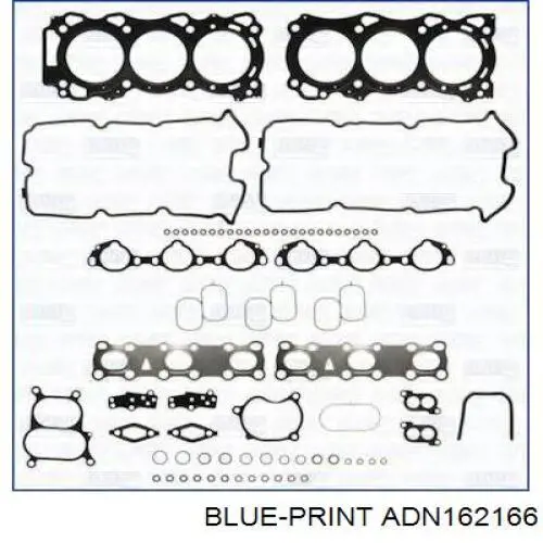 ADN162166 Blue Print